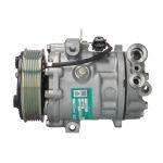 Klimakompressor SANDEN SD6V12-1921