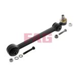 Wielophanging FAG 821 0298 10