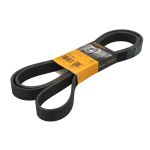 Poly V-riem CONTITECH 8PK2563