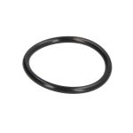 Getriebe O-Ring ZF 0501317049ZF