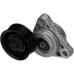 Tensor de correa, correa acanalada en V GATES T38328