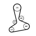 Vesipumppu + hammashihnasarja CONTITECH CT1242WP1