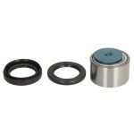 Kit de roulements de roue ALL BALLS AB25-1538-HP