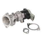 AGR Ventil BORG WARNER 710984D