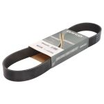 Keilrippenriemen DAYCO 8PK800HD