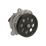 Wasserpumpe THERMOTEC D1G060TT