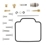 Reparatieset, carburateur ALL BALLS AB26-1028