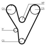 Distributieriemset CONTINENTAL CT805K1