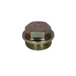 Schroef plug oliepan DT Spare Parts 4.30117