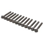 Juego de tornillos de culata REINZ 14-32109-02