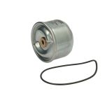 Filtro de aceite HENGST Z15 D167