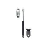 Gasfeder, Koffer-/Laderaum STABILUS STA310581