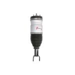 Vérin MAGNUM TECHNOLOGY APY004MT