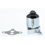 EGR-klep BORG WARNER 711032D