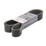 Keilrippenriemen DAYCO 12PK2135HD