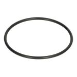 O-Ring Kühlmittelpumpe QUICKSILVER 25-8M0214925