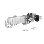 Módulo EGR BORG WARNER 710861D/1
