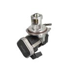 AGR Ventil BORG WARNER 7504D