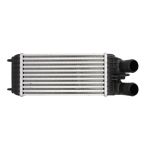 Ansaugluftkühler MAGNETI MARELLI 351319204470
