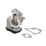 AGR Ventil BORG WARNER WA710931D/1
