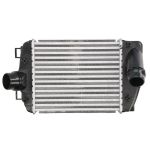 Ladeluftkühler MAGNETI MARELLI 351319206150