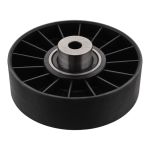 Polia guia, correia trapezoidal SWAG 55 03 0028