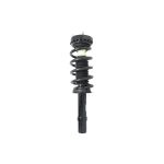 Amortisseur de chocs EVOLUTION V272899R