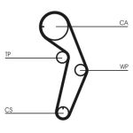 Distributieriemset CONTINENTAL CT1048K1