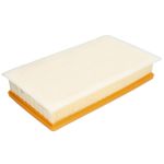 Luftfilter PURFLUX A3153