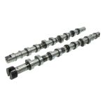 Conjunto da árvore de cames AMC 669824K