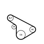 Set di cinghie Poly-V CONTITECH 5PK1212K1