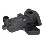 Válvula EGR DELPHI EG10637-12B1
