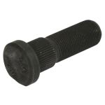 Pino S-TR STR-40046