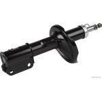 Ammortizzatore HERTH+BUSS ELPARTS J4310903
