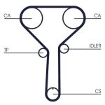 Getande riem CONTITECH CT1254