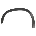 Aile - moulure / protection BLIC 5703-08-3220371P