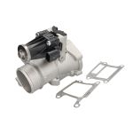 Vanne EGR NRF 48738