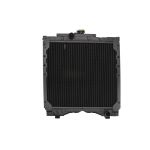 Radiateur, refroidissement moteur THERMOTEC D7AG016TT