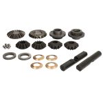 Differential-Reparatursatz CARRARO 66317-CR