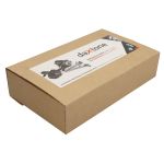 Injecteur, système à rampe commune DAXTONE DTX2029R