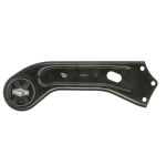 Brazo de control, suspensión de ruedas DELPHI TC4541 eje trasero