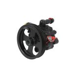 Hydraulische pomp, stuurinrichting LAUBER 55.1100