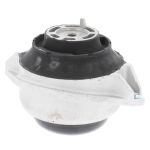 Cuscinetti, motore CORTECO 80001895