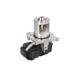 EGR-ventil WAHLER 710095D