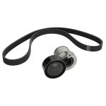 Juego de correas poly V SKF VKMA 36156