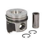 Piston NE 130038002321