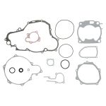 Set di guarnizioni, motore WINDEROSA W808666