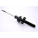 Ammortizzatore MAGNUM TECHNOLOGY AG3002MT