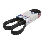 Courroie trapézoïdale à nervures OPTIBELT 8PK1610