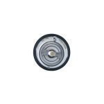 Thermostat NRF 725012